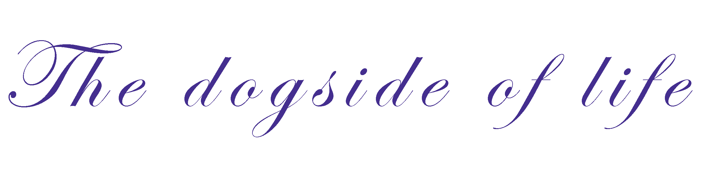 The dog side of life